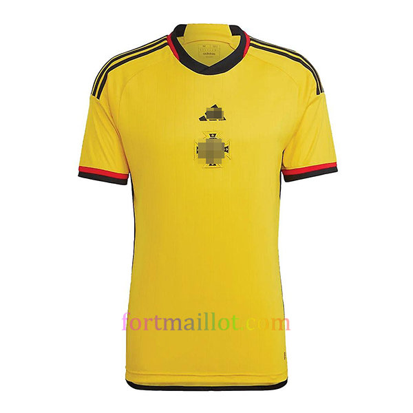 Personnalisation de maillot de foot