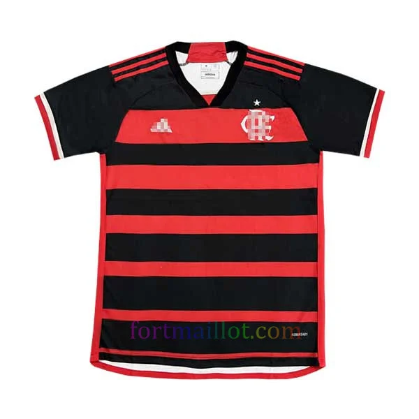 Maillot de foot de la corée du sud